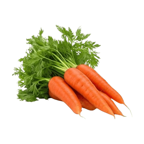 Carrot