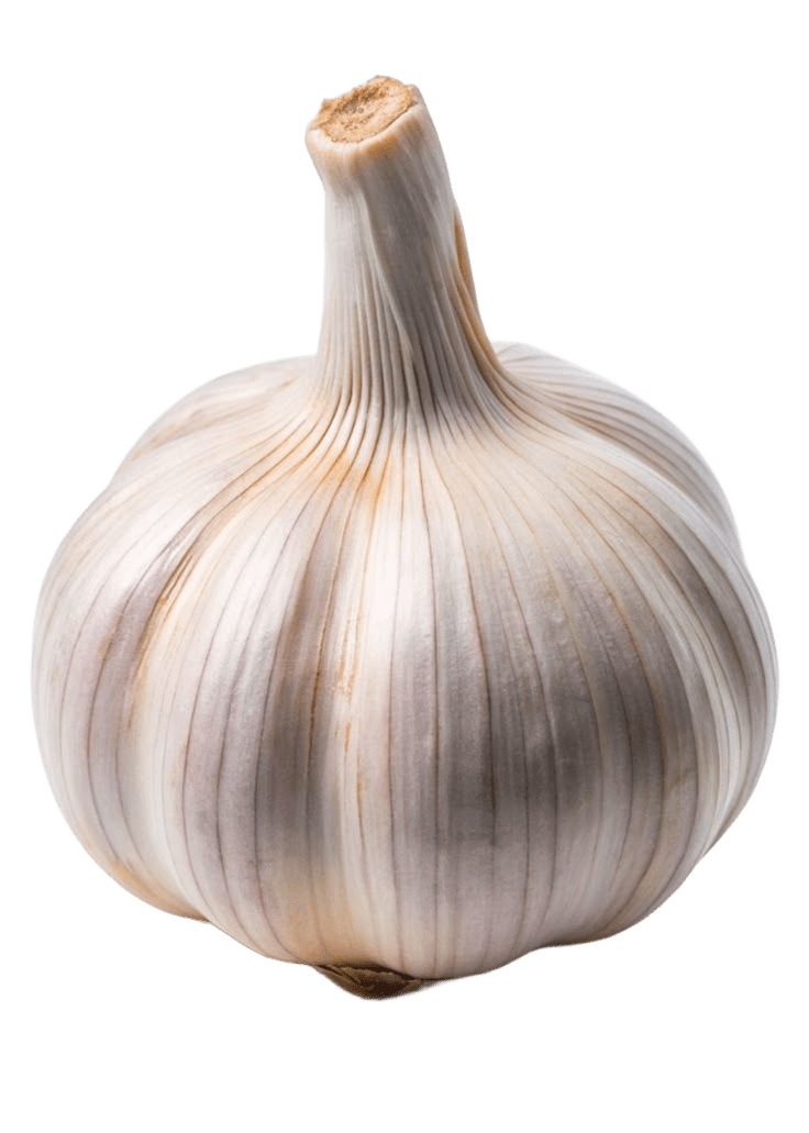 Onion