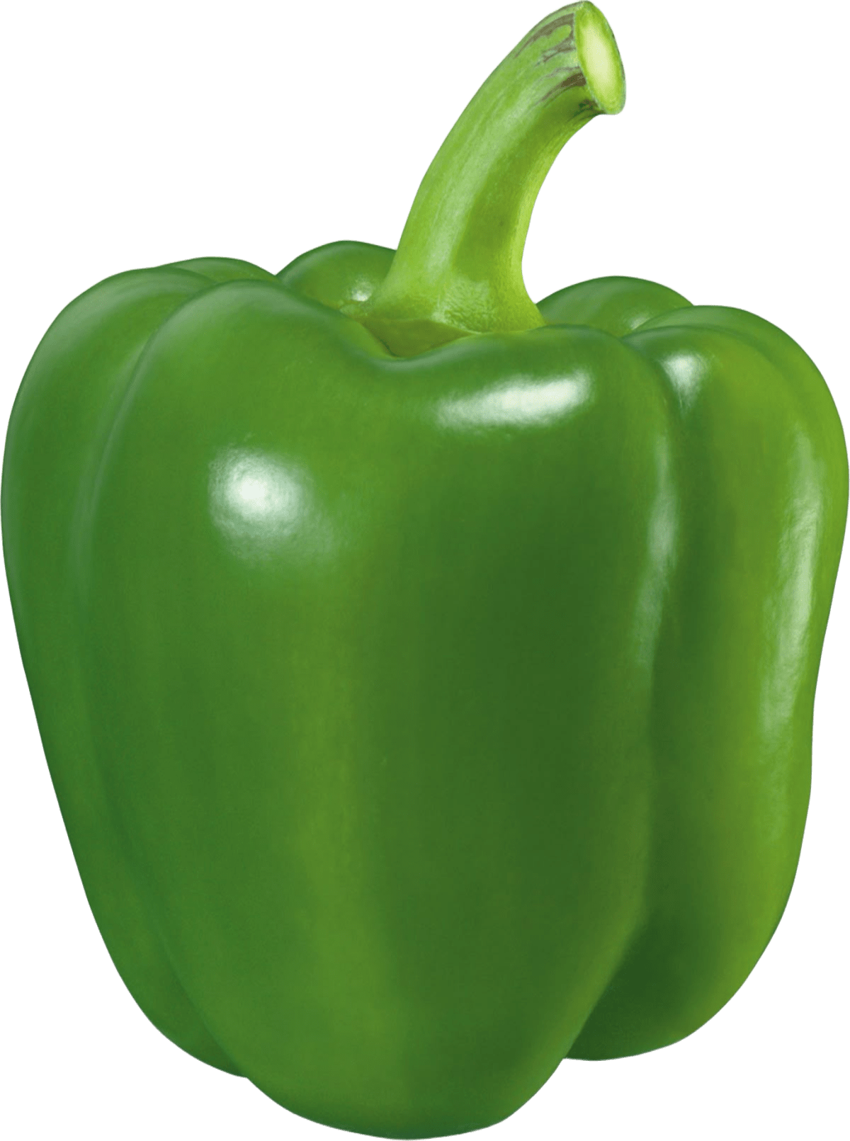 Pepper